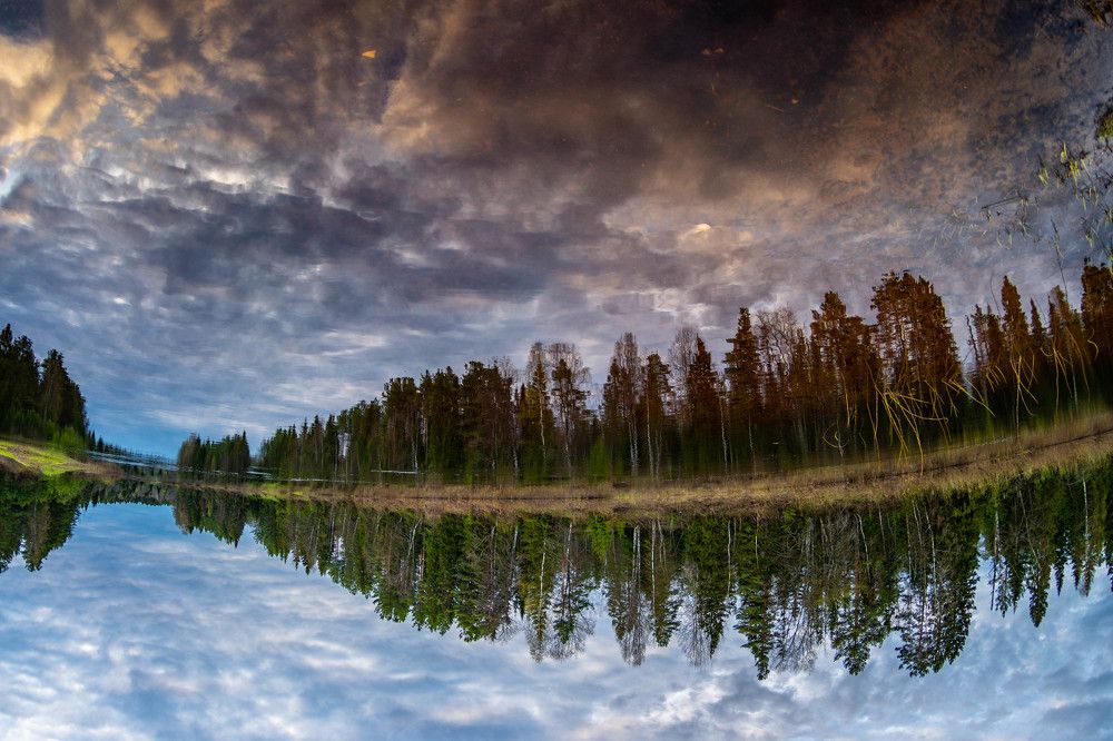 Photograph by Алексей Ильин