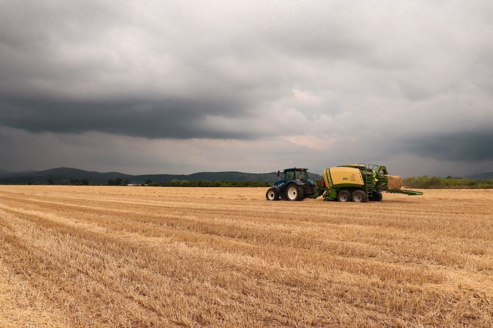 Photograph by Ch Ancuta