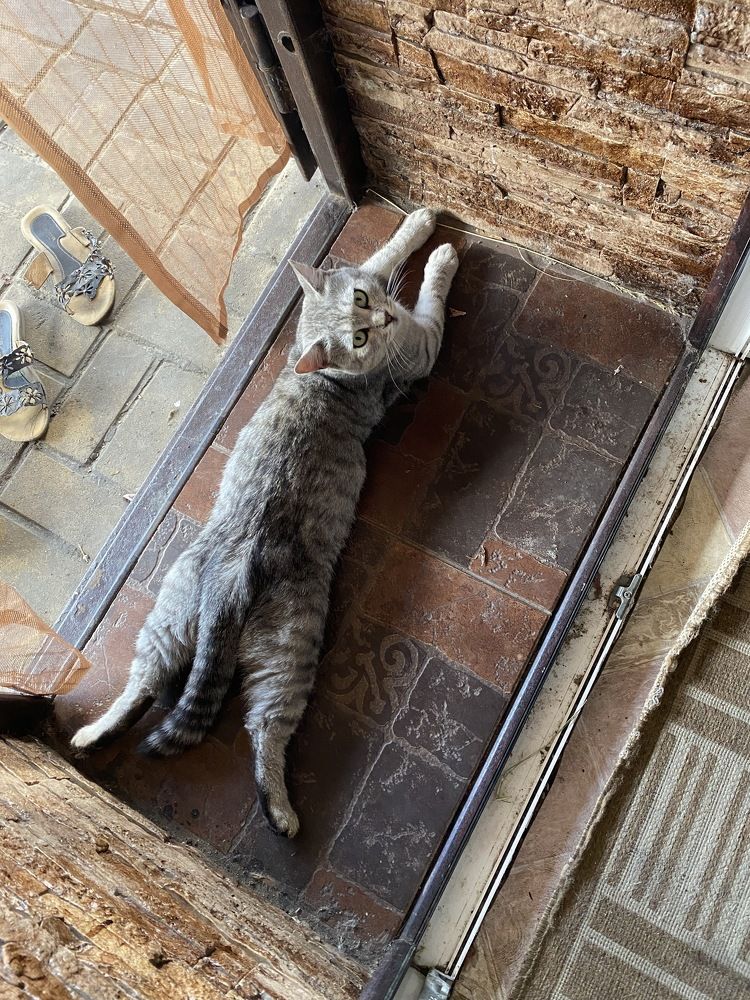 Photograph by Елена Гущина