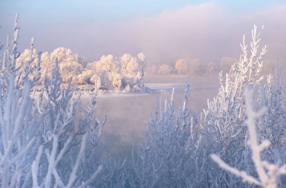 Photograph by Павел Петухов