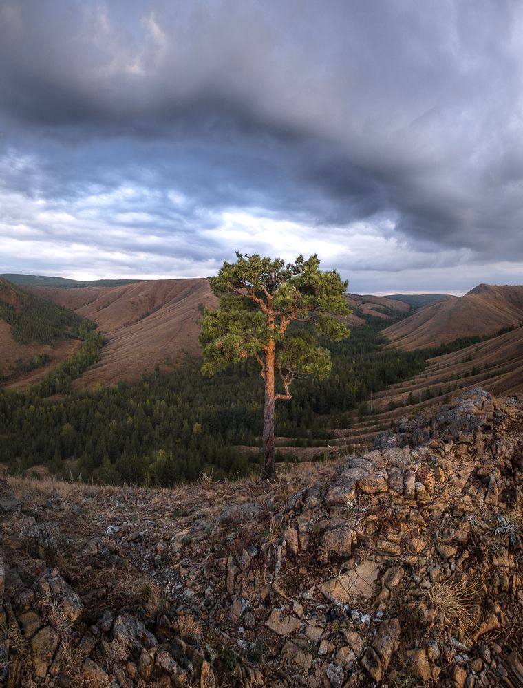 Между землёй и небом