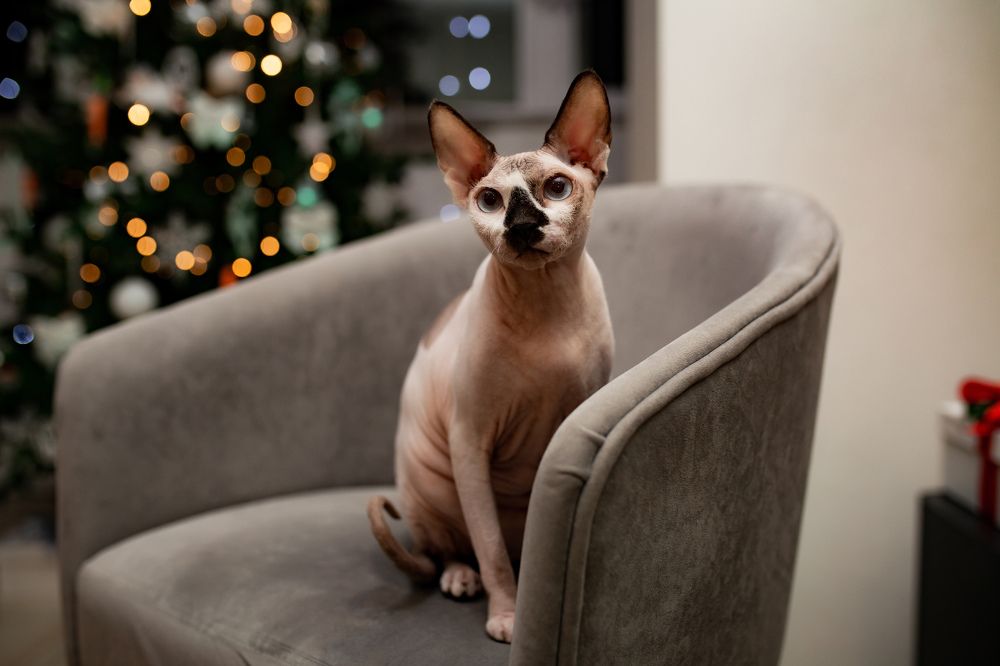 Photograph by Олеся Мосина