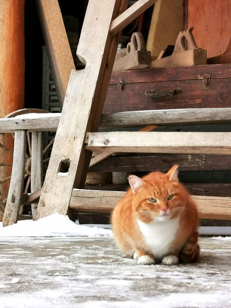 Фотография автора Андрей Богданов