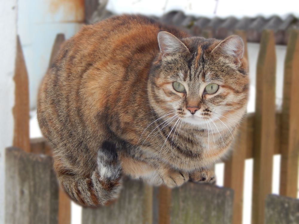 Photograph by Екатерина Семенова