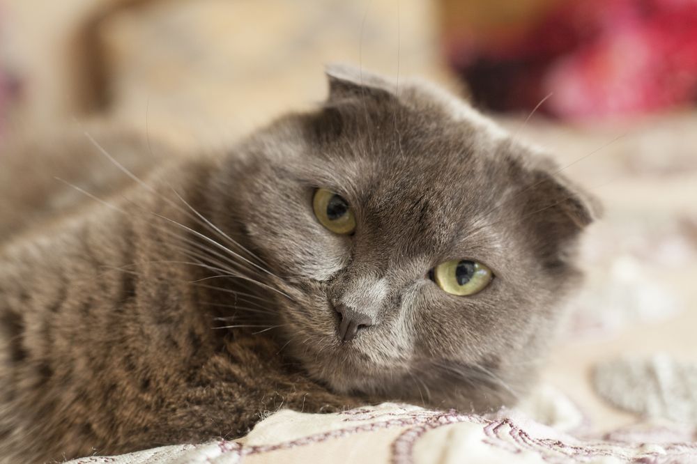 Photograph by Екатерина Семенова