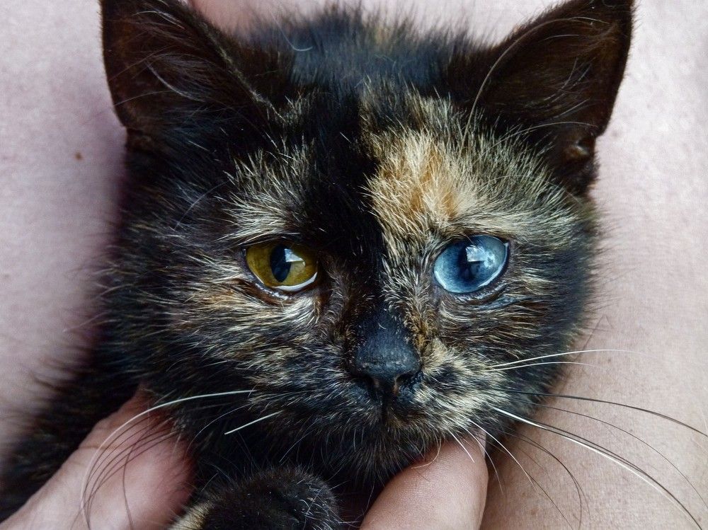 Photograph by Алексей Логинов