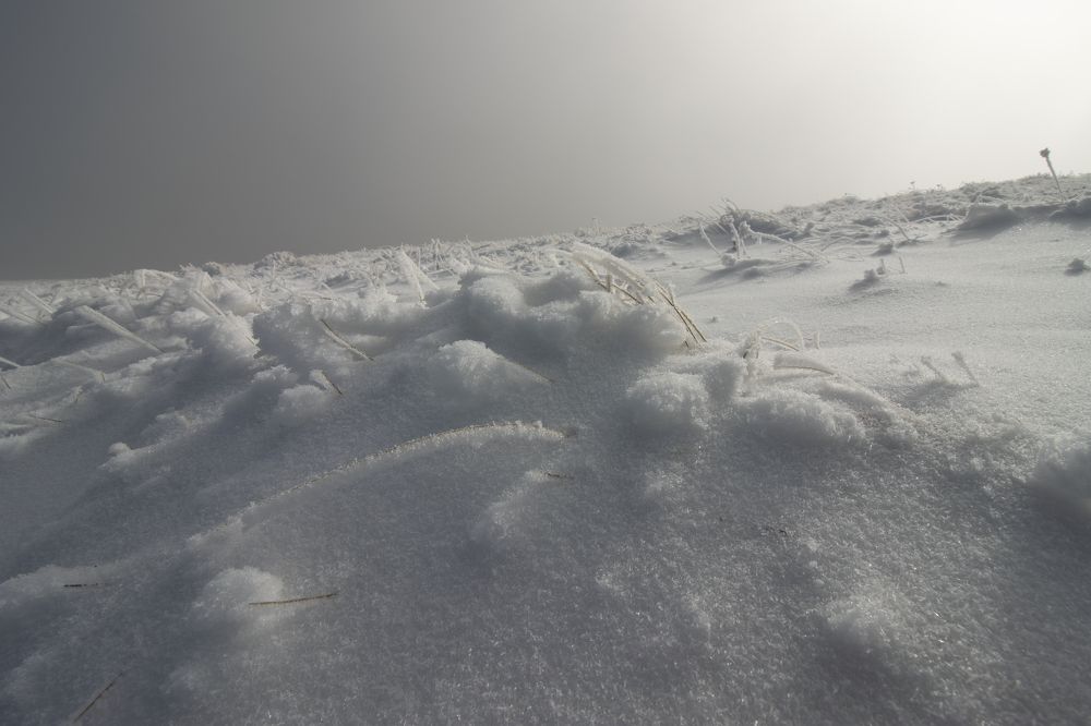 Photograph by Sajkovski Dejan