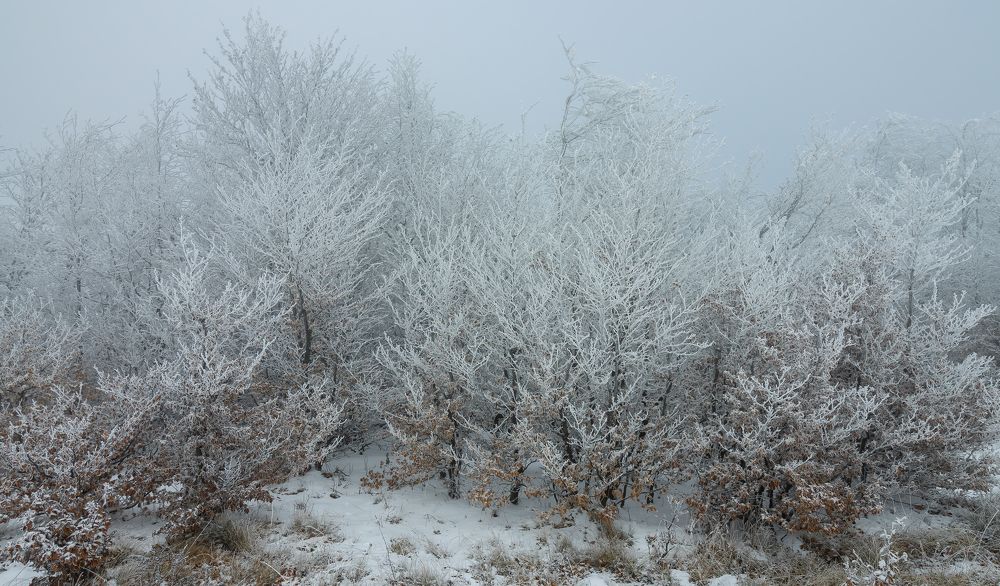 Photograph by Sajkovski Dejan