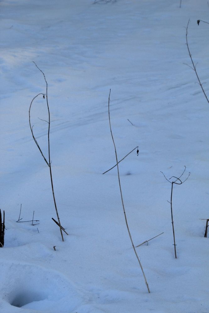 Photograph by Илья Беликов