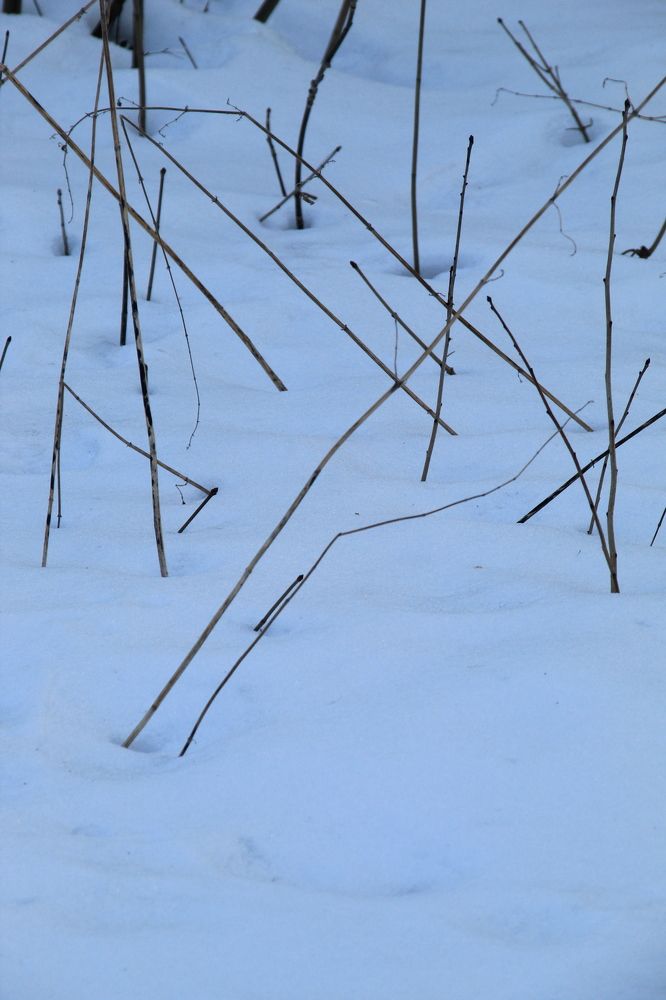 Photograph by Илья Беликов