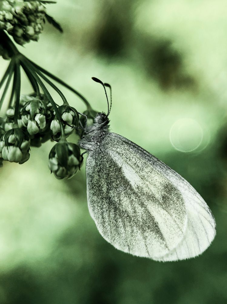 Photograph by Мария Акимова