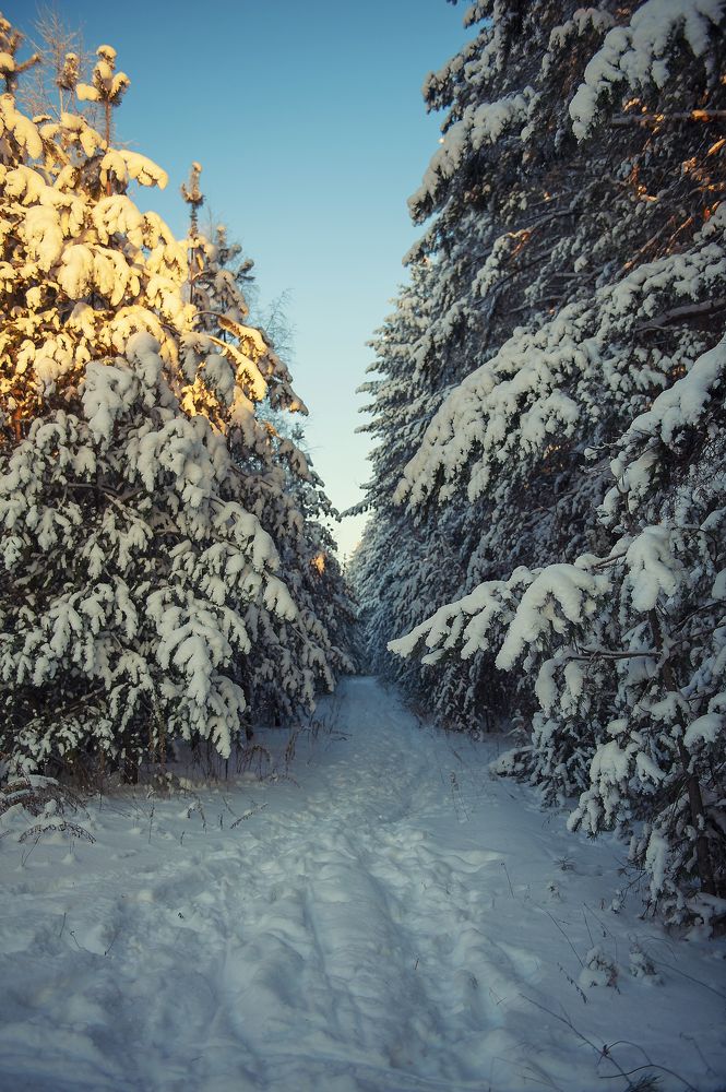 Фотография автора Денисов Алексей