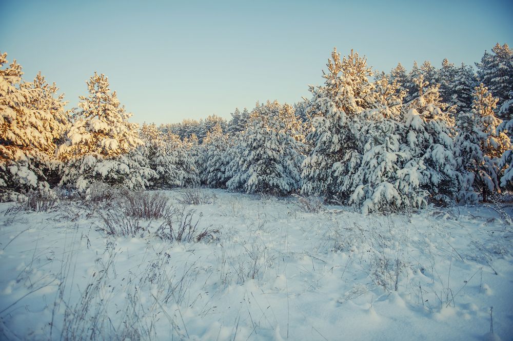 Фотография автора Денисов Алексей