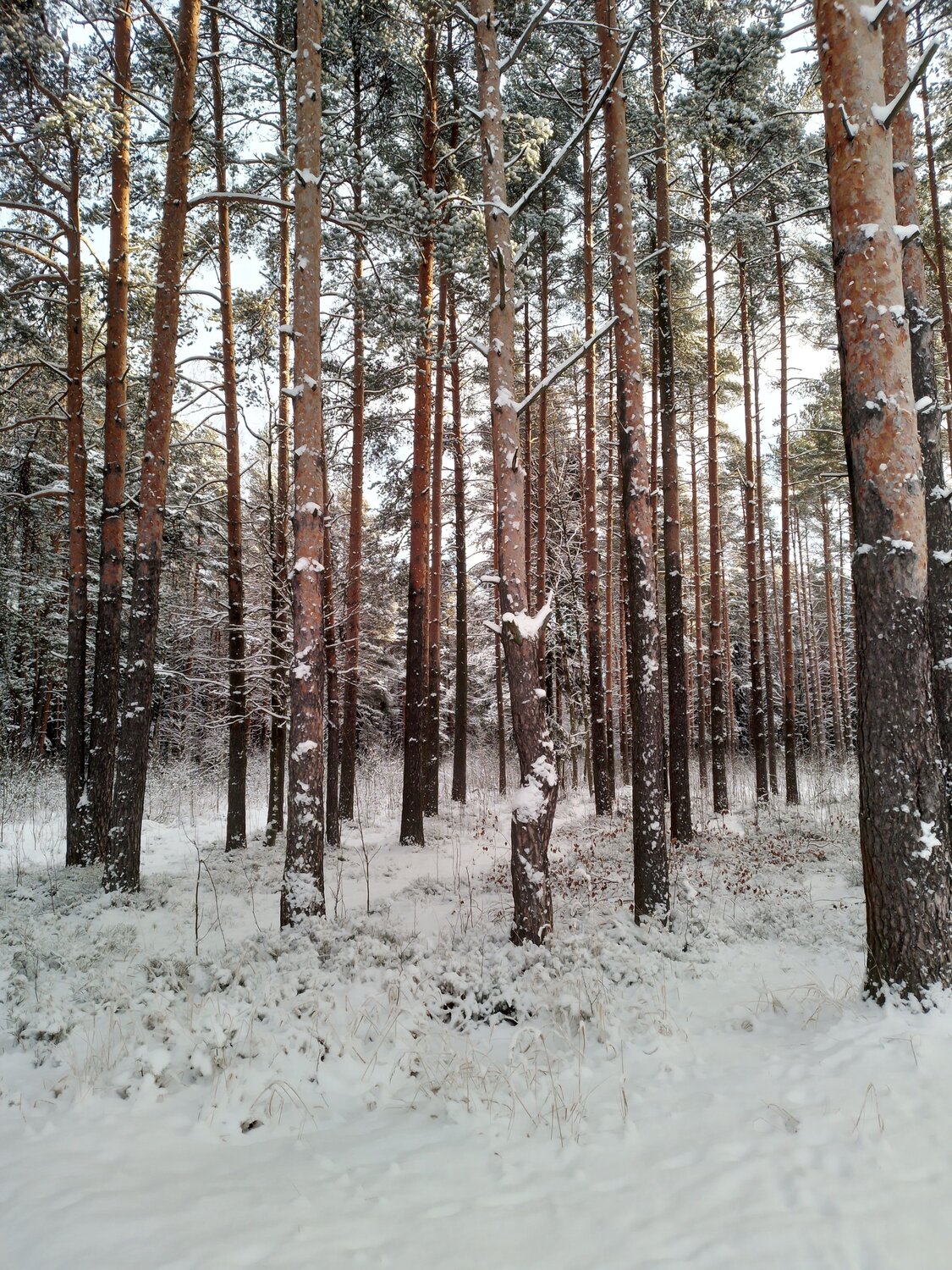 Photo #8670376