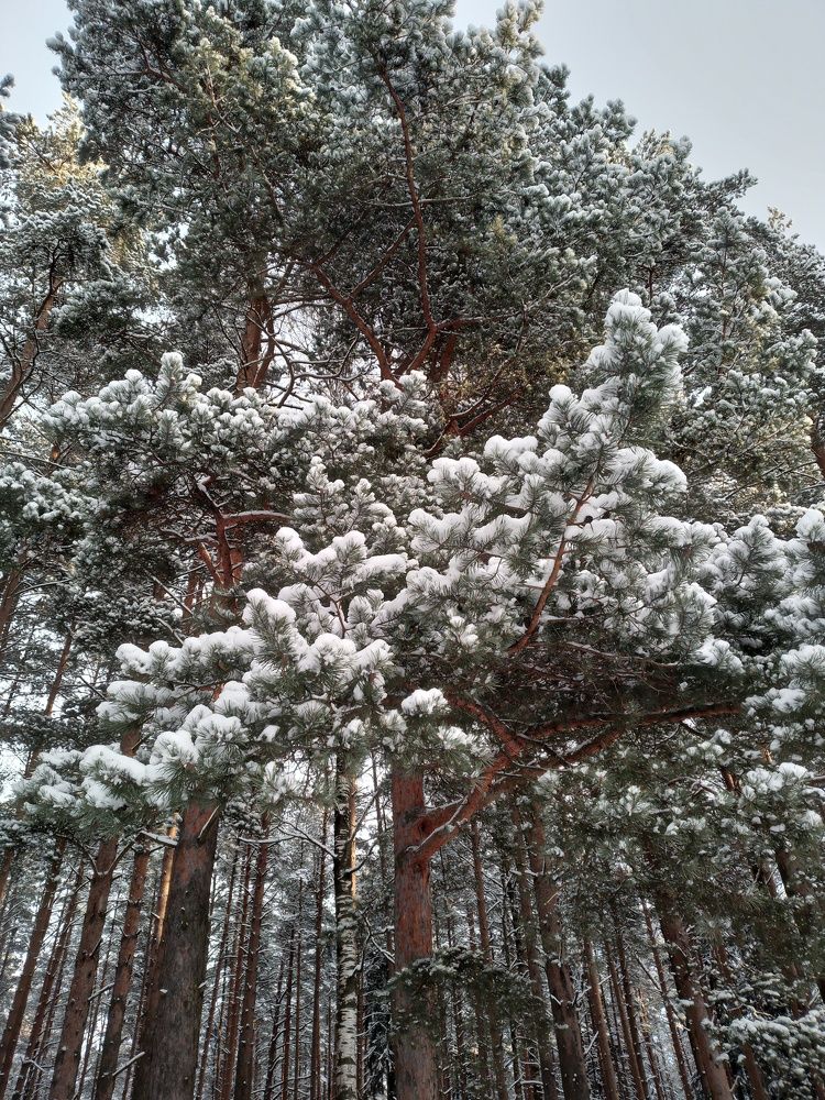 Photo #8670396