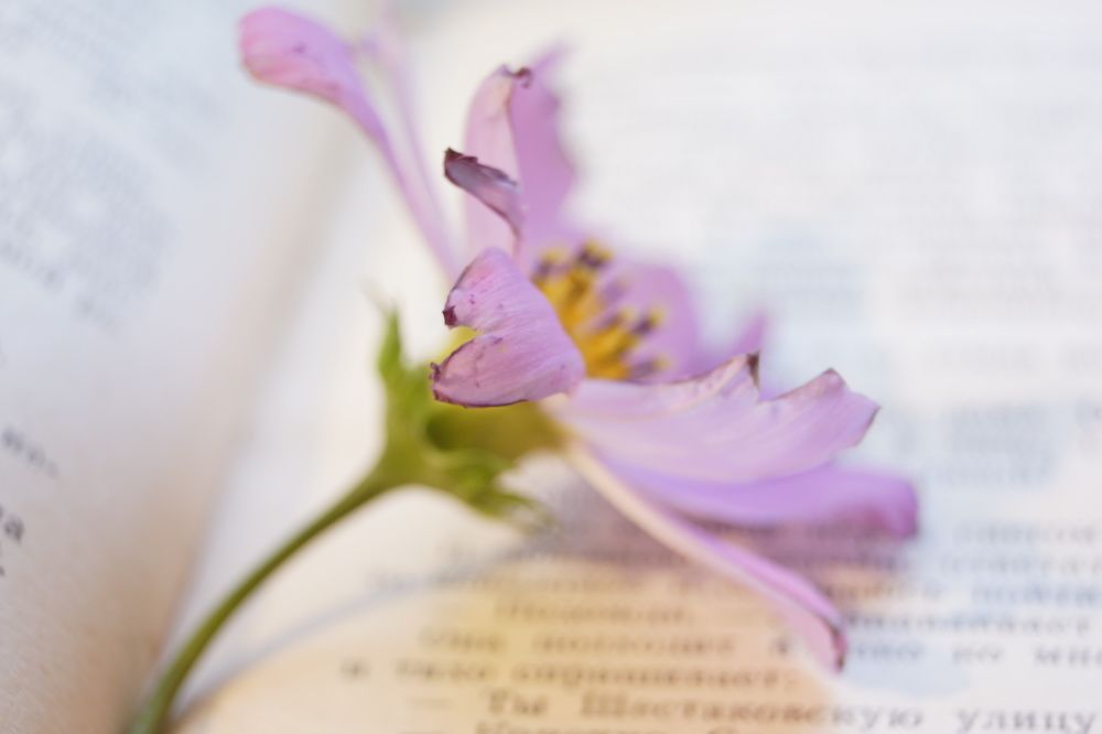 Photograph by Наталья Викторовна