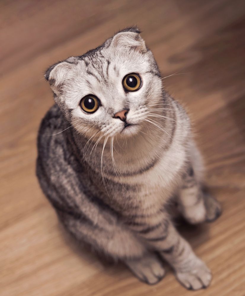 Photograph by Буданова Мария