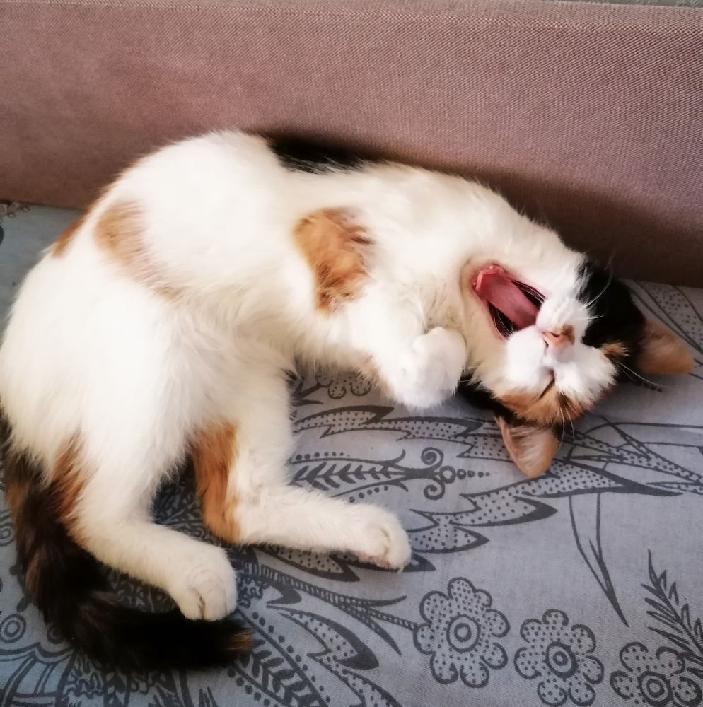 Photograph by Елена Андреевна