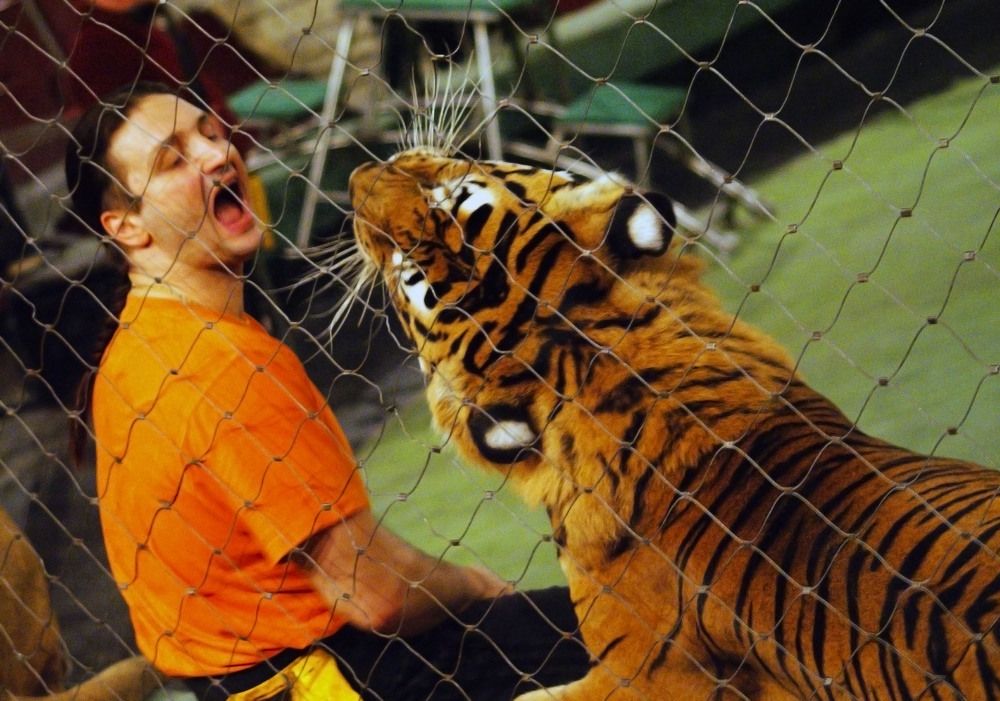 Photograph by Максимова Ирина