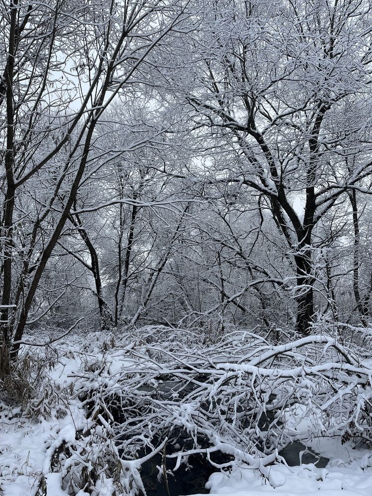 Photograph by Максим Зенкевич