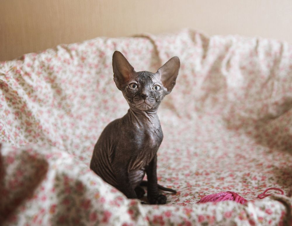 Photograph by Буданова Мария