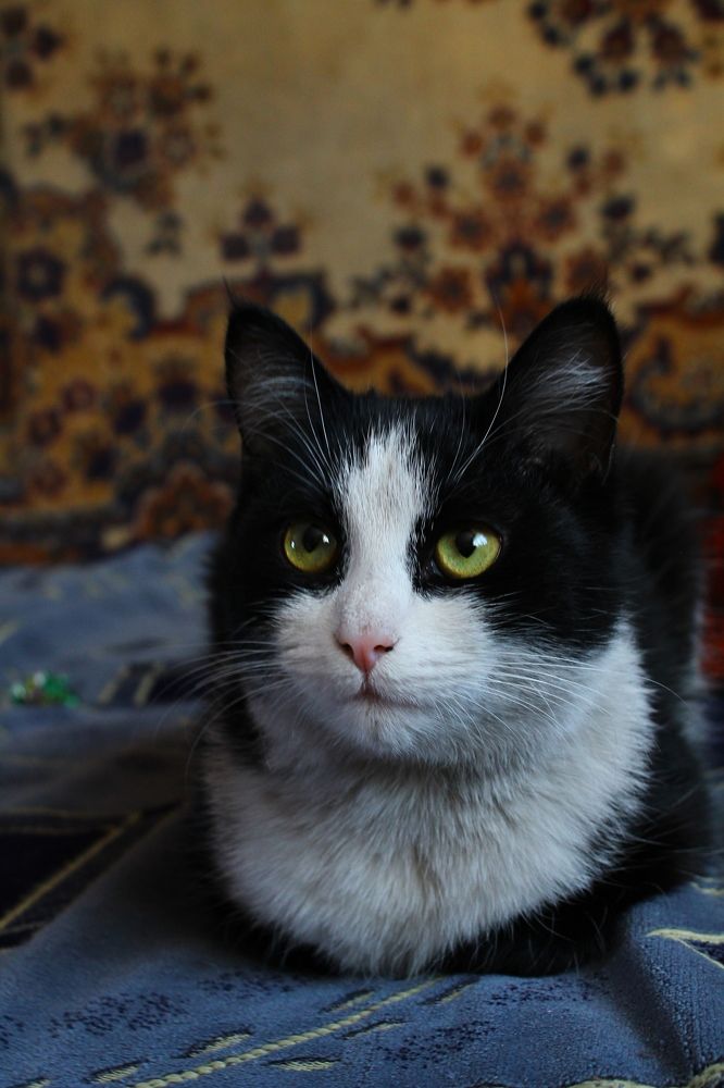 Photograph by Анжелика Авторханова