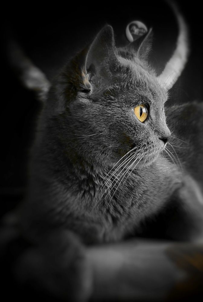 Photograph by Надежда