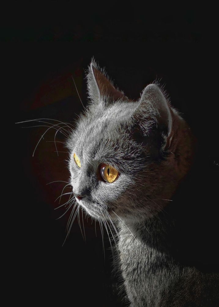 Photograph by Надежда