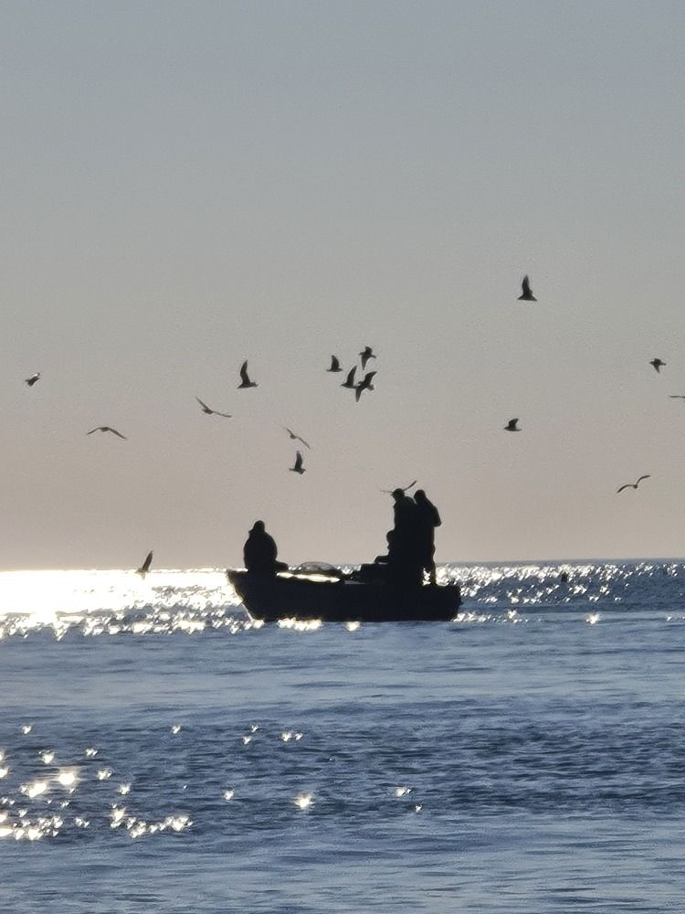 Photograph by Алексей Миронов