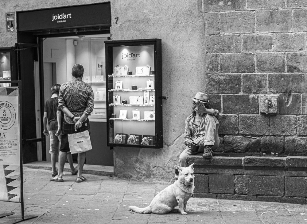 Контрасты жизни