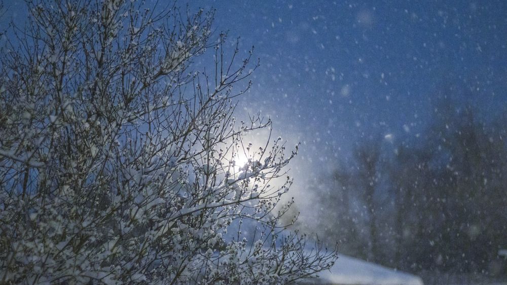 Photograph by Victoria Popkova