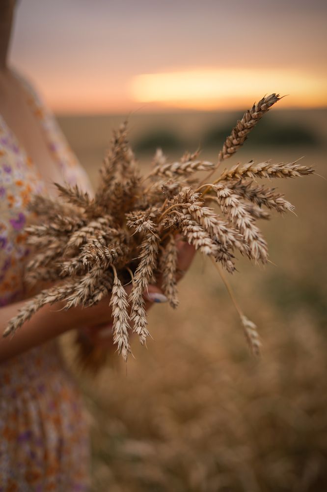 Поля в поле