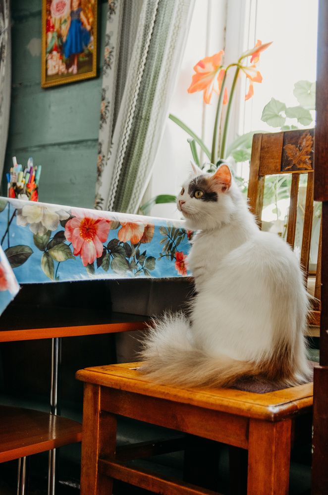 Photograph by Александра Лесина