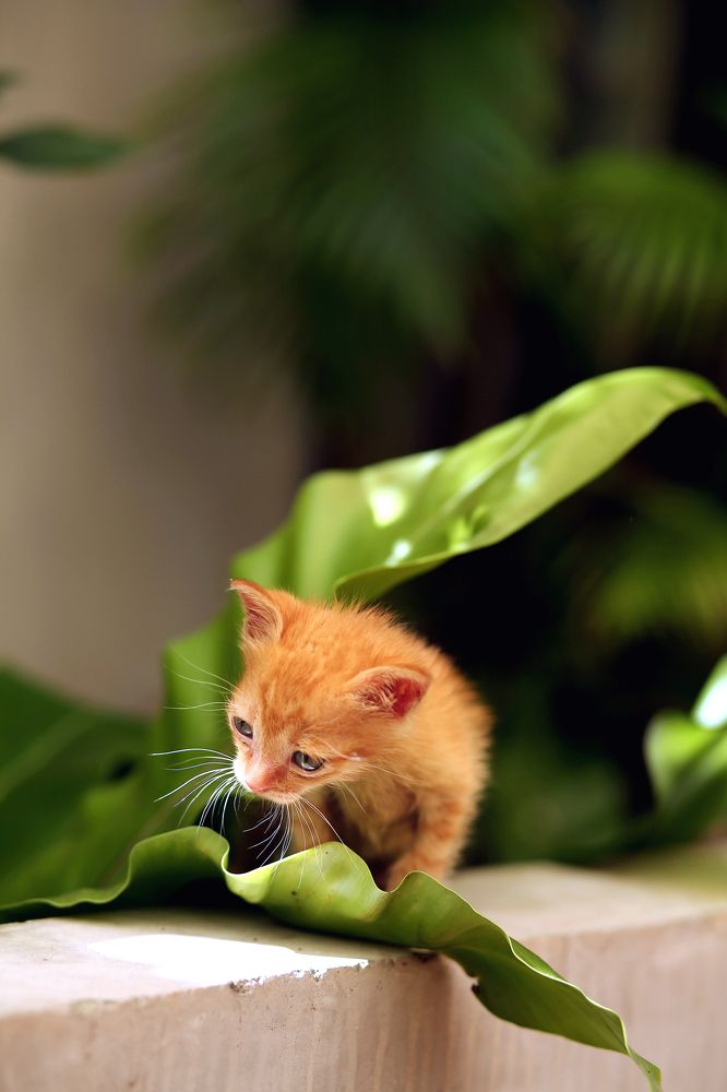 Photograph by Настасья Пермякова