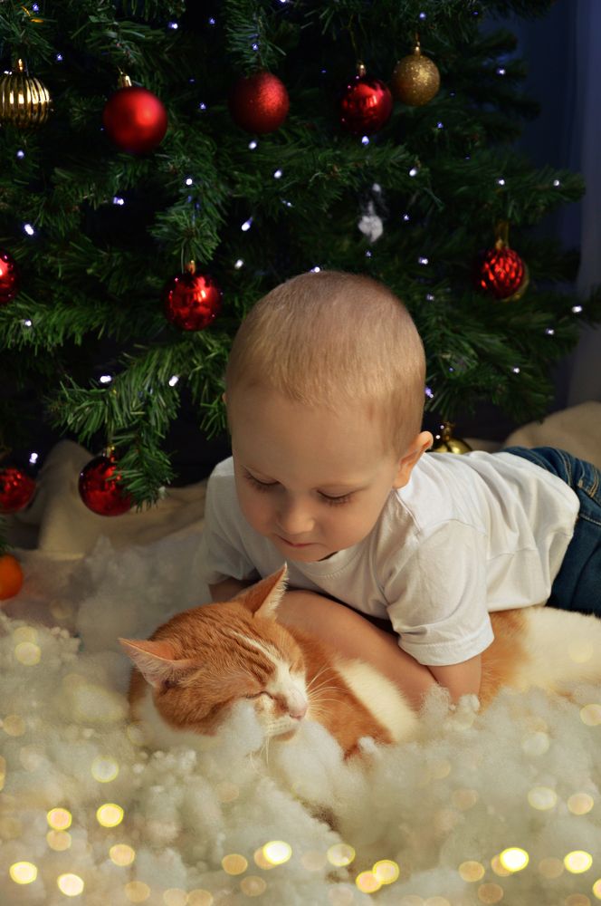 Photograph by Светлана Белова