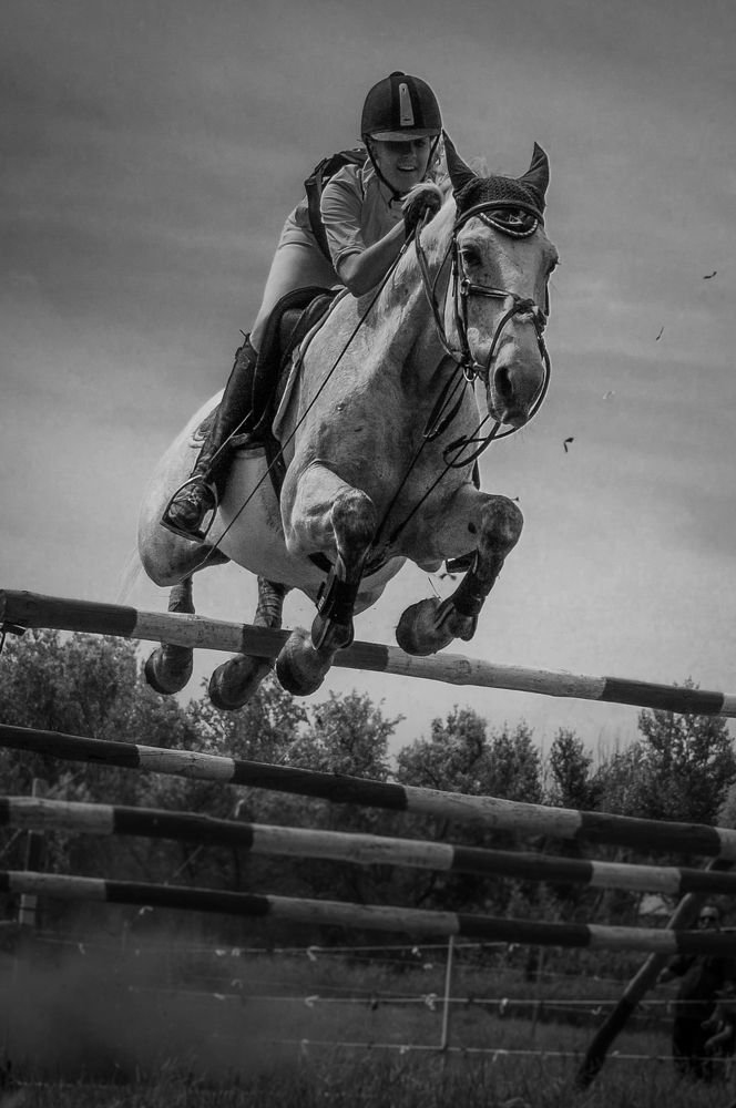 Photograph by Максим Шарыгин