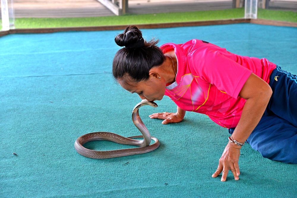 Фотография автора Владимир Куликов