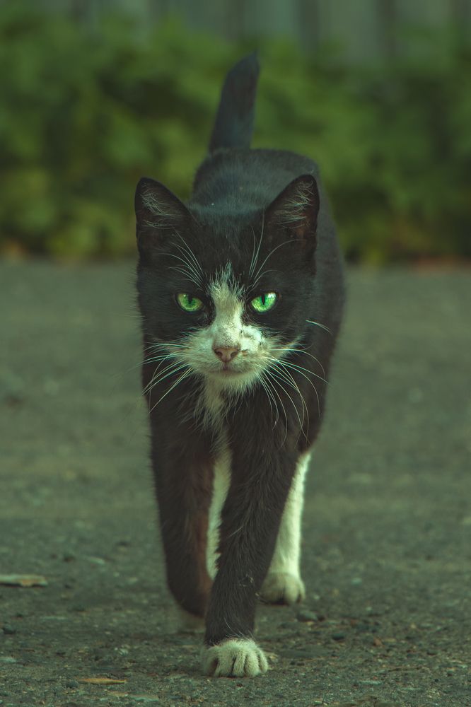 Photograph by Victoria Popkova