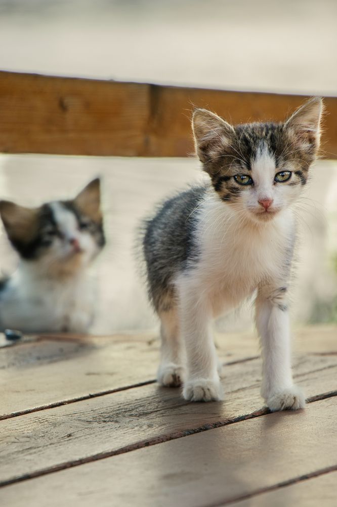 Photograph by Victoria Popkova