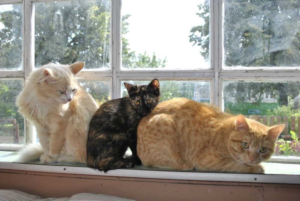 Photograph by Наталья Мелешкова