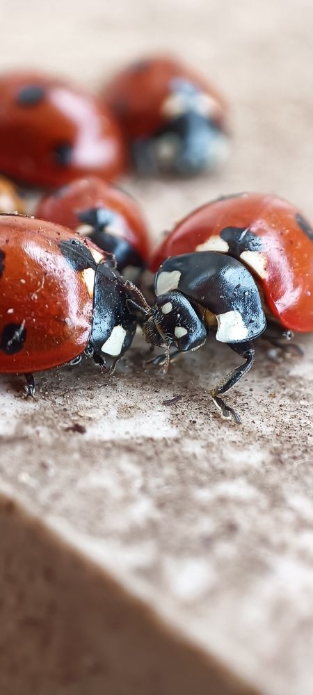 Photograph by Лариса