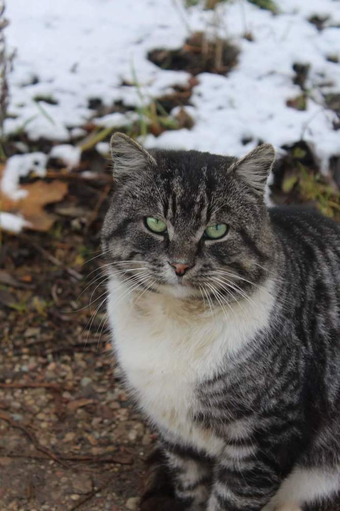 Photograph by Ольга Антанавичене