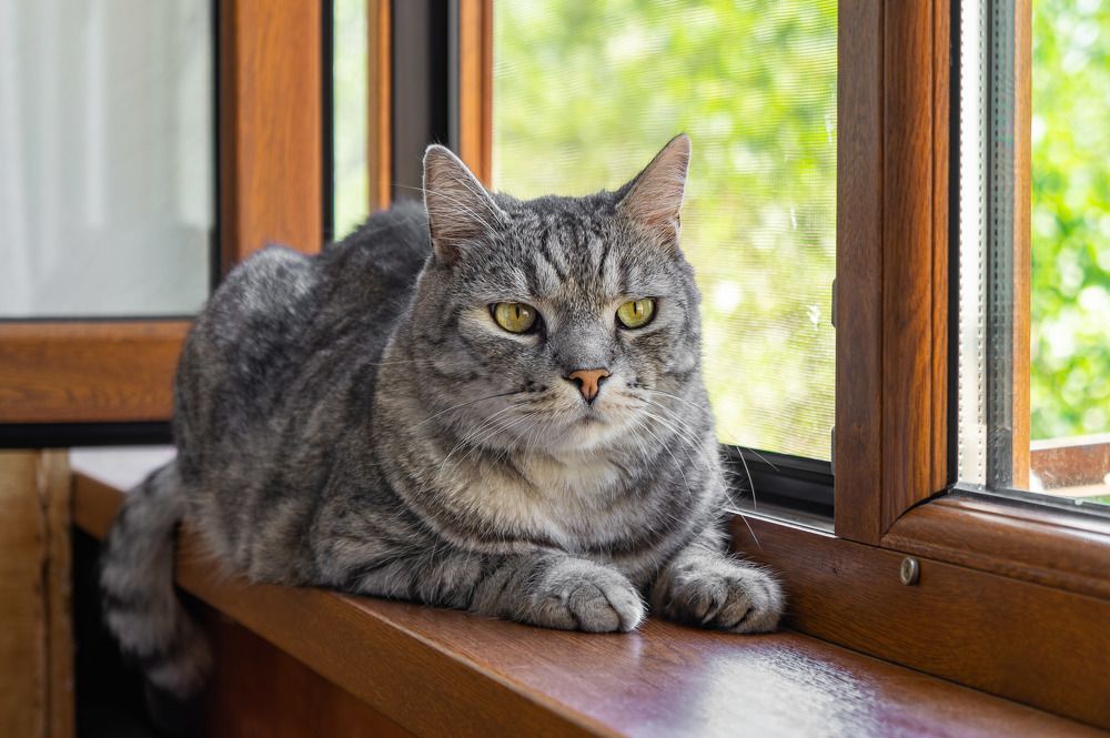 Photograph by Олег Ершов