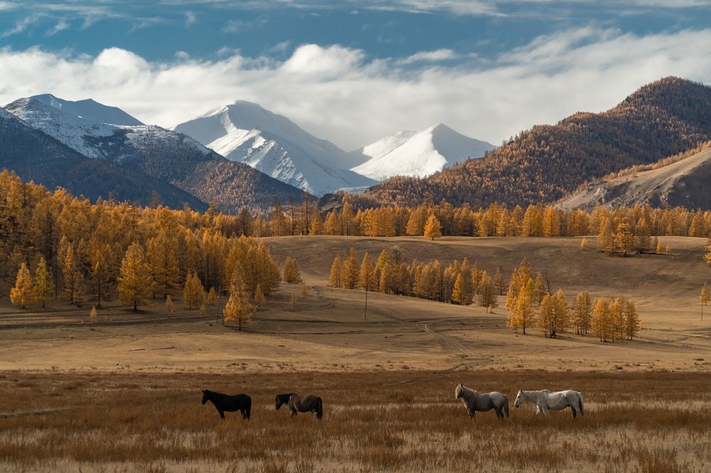 Фотография автора Михаил Тильпунов