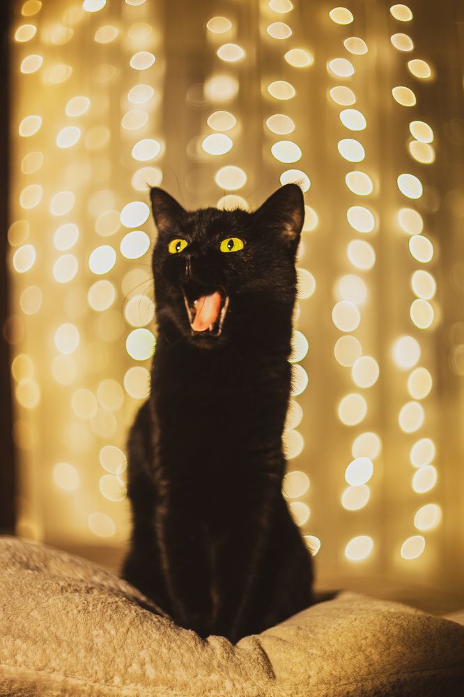 Photograph by Ольга Резникова