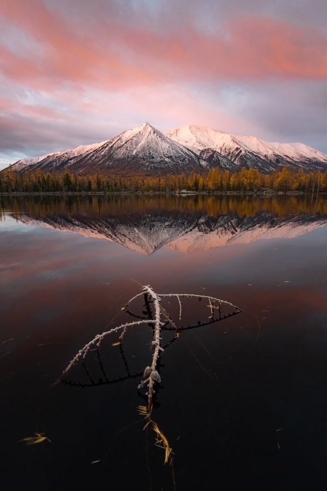 Фотография автора Михаил Тильпунов