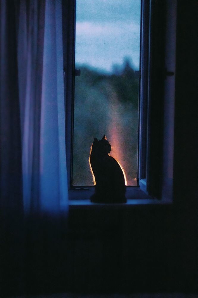 Photograph by Ольга Резникова