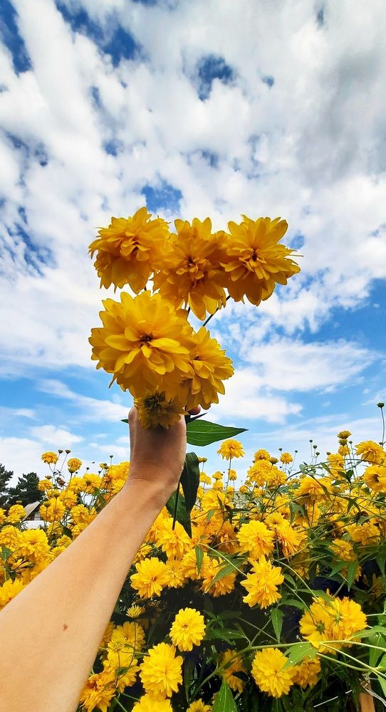 Photograph by Надежда Шапкина