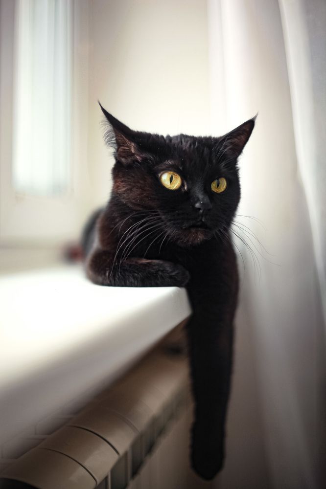 Photograph by Ольга Резникова