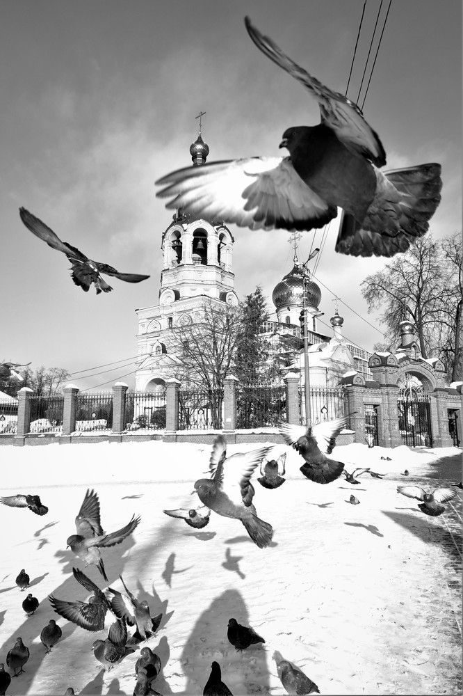 Photograph by Евгения Казакова